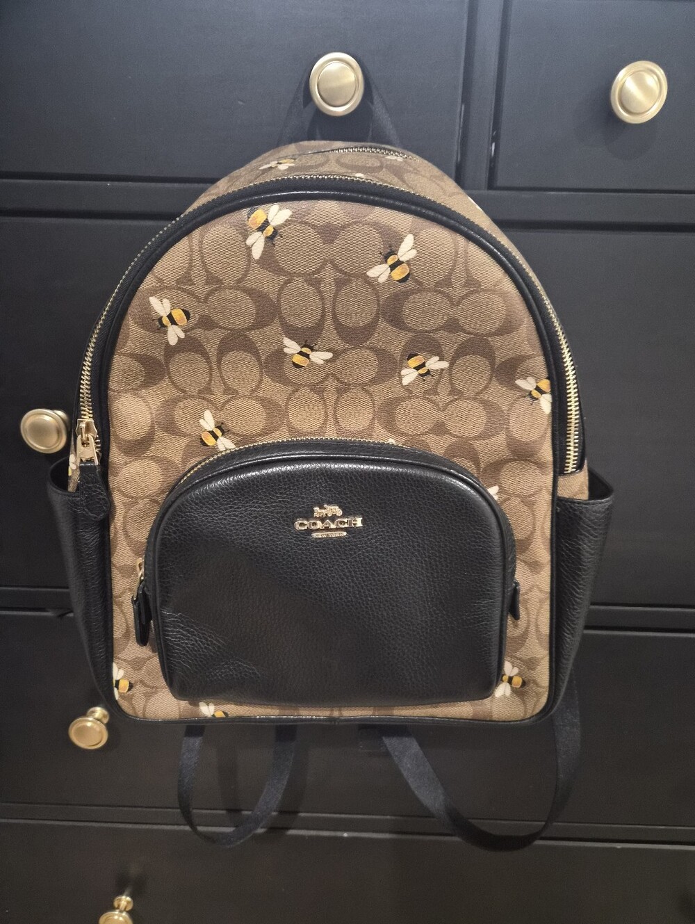 Coach Court Backpack Bee Print